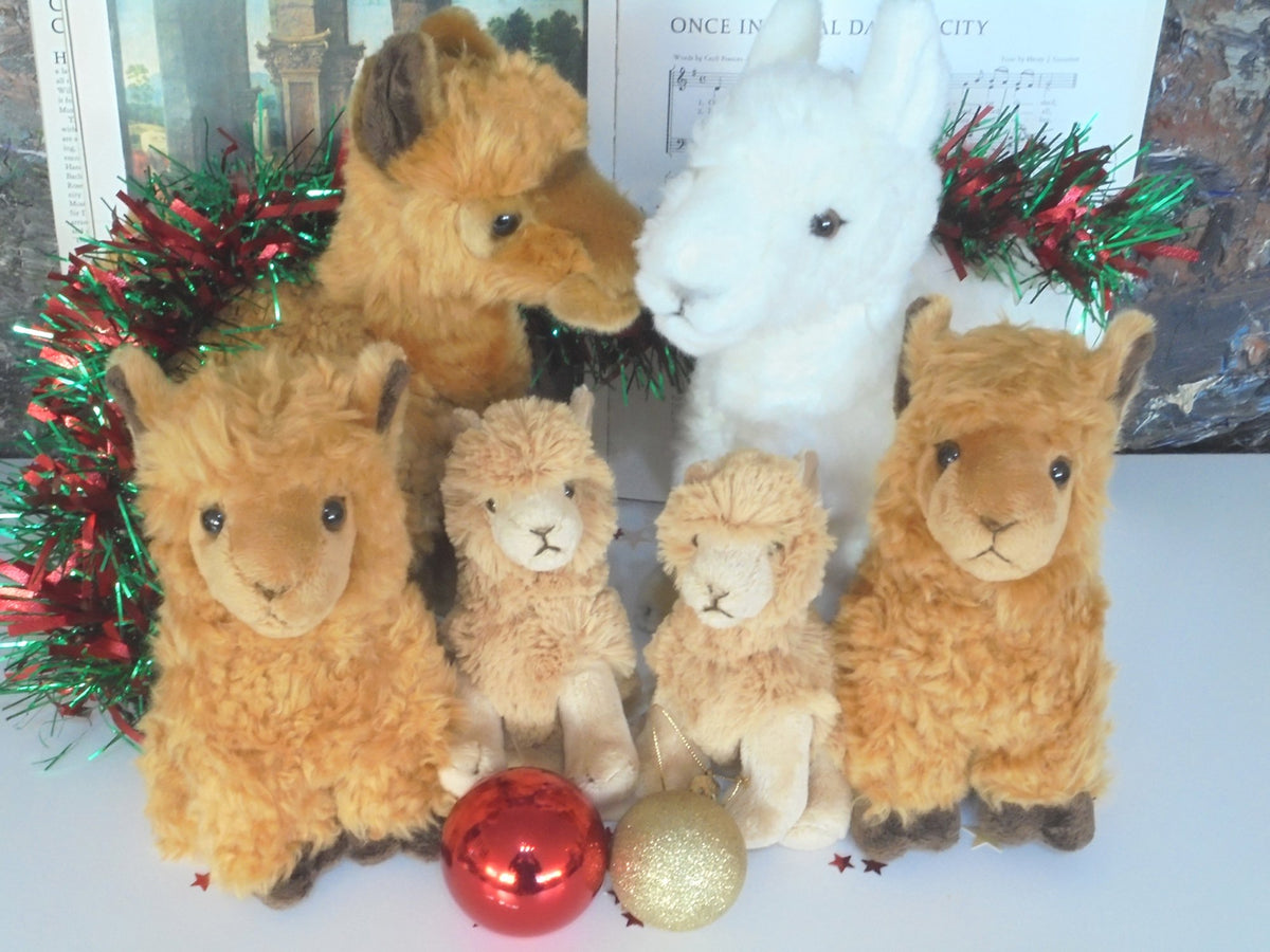 image of Cuddly Toys