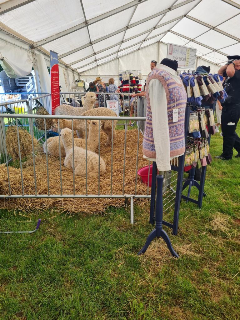 featured image for Devon County Show 2025 blog post