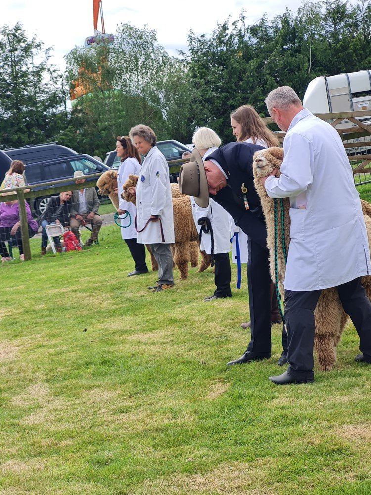 featured image for Devon County Show blog post