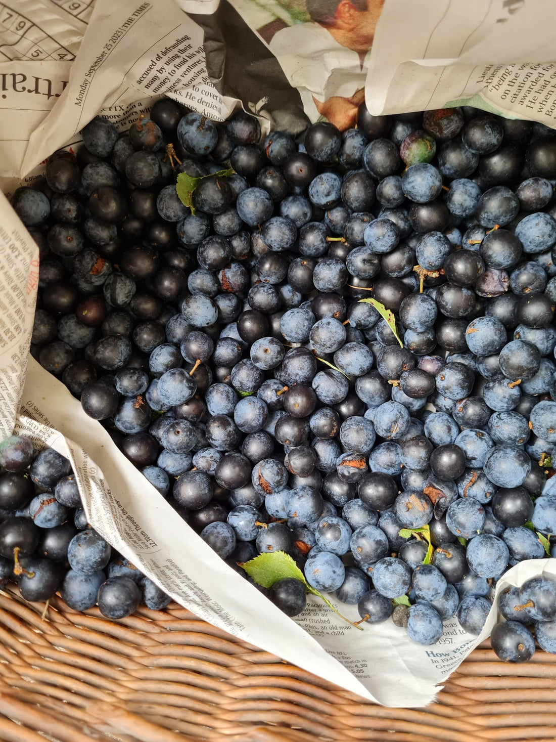 featured image for Sloe Gin And Loaded Hedgerows blog post