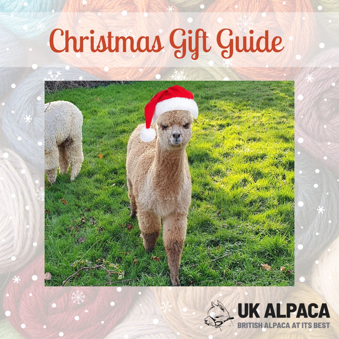 featured image for Christmas Gift Guide blog post