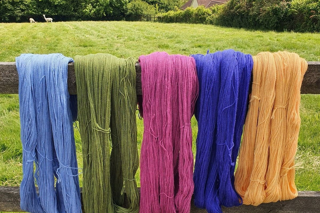featured image for Sock Madness blog post