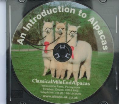image of DVD Introduction To Alpacas
