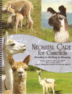 image of Neonatal Care For Camelids