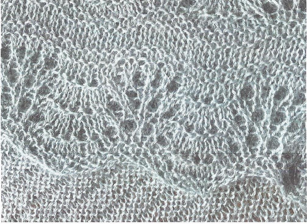 image of Veronica Shawl