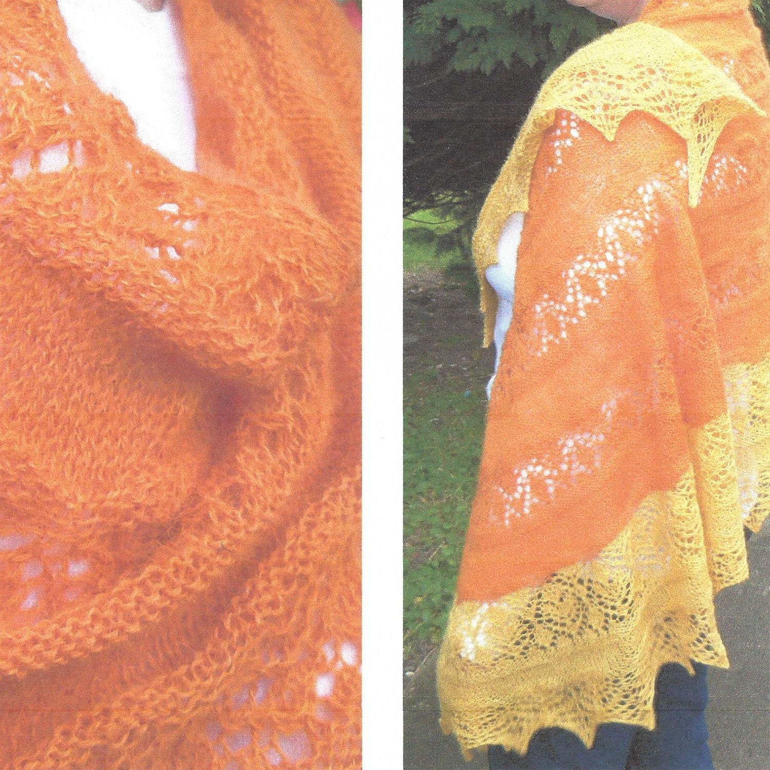Orange Beauty by Julie Harris